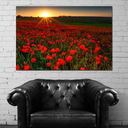Red Poppies Field - NicheCanvas