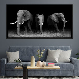 Black and White Elephants - NicheCanvas