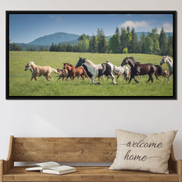 Horses of all Colors Running in a Pasture - Terrie Gray - NicheCanvas