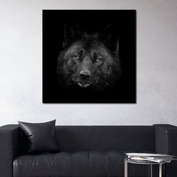 Black and White Wolf - NicheCanvas