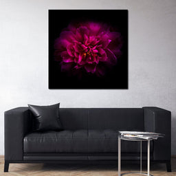 Purple Backyard Flowers - Brian Carson - NicheCanvas