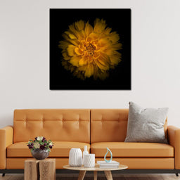 Orange Background Flowers - Brian Carson - NicheCanvas