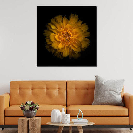 Orange Background Flowers - Brian Carson Canvas Print