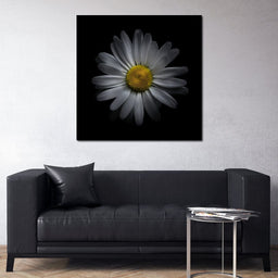 Backyard Flowers 3 panels - Brian Carson - NicheCanvas