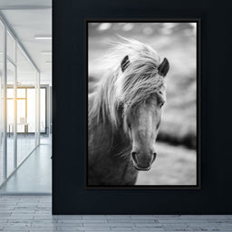 Icelandic Horse - NicheCanvas
