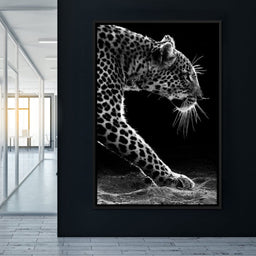 Black and white Leopard - NicheCanvas