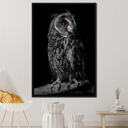 Black & White Owl - NicheCanvas