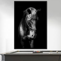 Black & White Horse Head - NicheCanvas