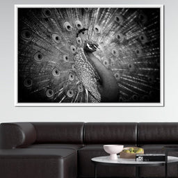 Black and White Peacock - NicheCanvas