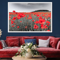 Flanders Fields - NicheCanvas