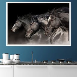 Three Black Stallions - NicheCanvas