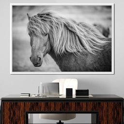 Icelandic Horse in Black & White - NicheCanvas