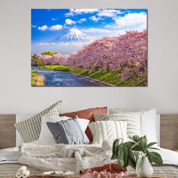 Cherry Blossoms in Japan - NicheCanvas