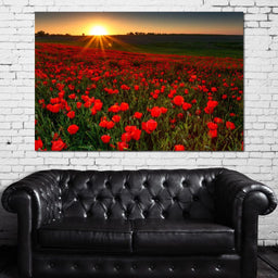 Red Poppies Field - NicheCanvas