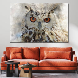 Eurasian Owl  - NicheCanvas