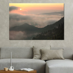 Fog over the Forest - NicheCanvas