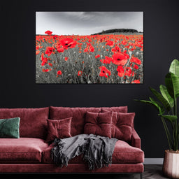 Flanders Fields - NicheCanvas