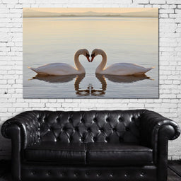 Swans On The Lake - NicheCanvas