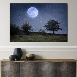 Beautiful Moonlight - NicheCanvas