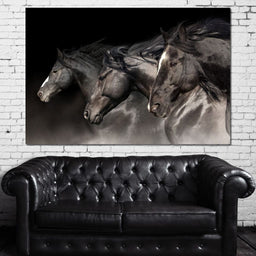 Three Black Stallions - NicheCanvas