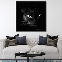 Black and White Cat - NicheCanvas