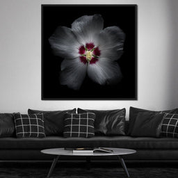 Backyard Flowers Color Version - Brian Carson - NicheCanvas