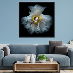 Backyard Flowers Series 4 - Brian Carson - NicheCanvas