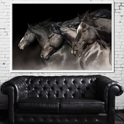 Three Black Stallions - NicheCanvas
