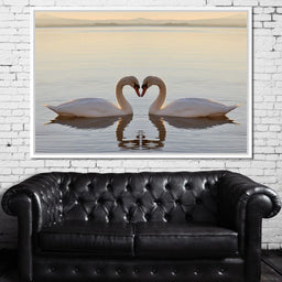 Swans On The Lake - NicheCanvas