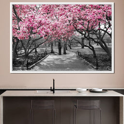 Pink Blossoms in Black and White - NicheCanvas