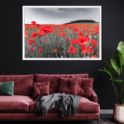 Flanders Fields - NicheCanvas