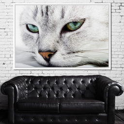 Cat Relaxing - NicheCanvas