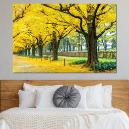 Yellow Ginkgo Trees - NicheCanvas
