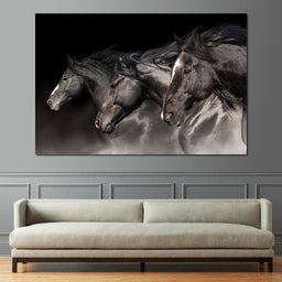Three Black Stallions - NicheCanvas