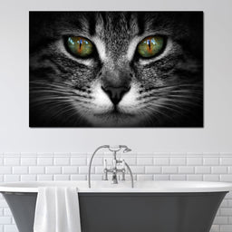 Green Eyed Cat - NicheCanvas