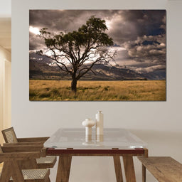 Stormy Afternoon - NicheCanvas