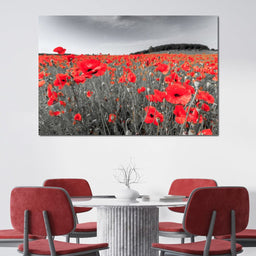 Flanders Fields - NicheCanvas