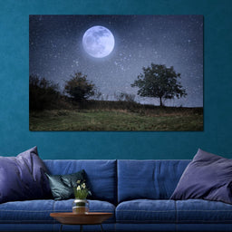 Beautiful Moonlight - NicheCanvas