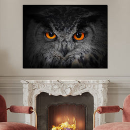 Black & White Owl with Orange Eyes - NicheCanvas
