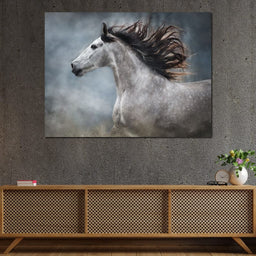 andalusian horse - NicheCanvas