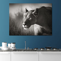 Lioness - NicheCanvas