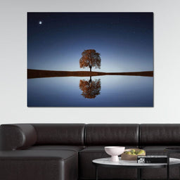 Tree Reflection - NicheCanvas