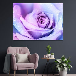 Winter Rose - NicheCanvas