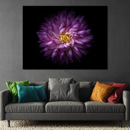 Backyard Flowers Series 1 - Brian Carson - NicheCanvas