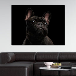 Black French Bulldog - NicheCanvas