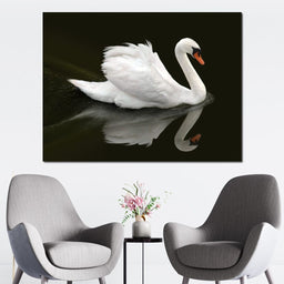 Swan - Ben Heine - NicheCanvas