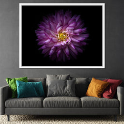 Backyard Flowers Series 1 - Brian Carson - NicheCanvas