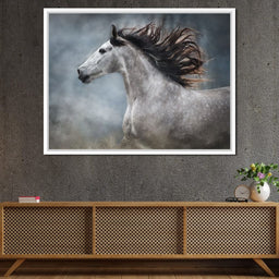 andalusian horse - NicheCanvas