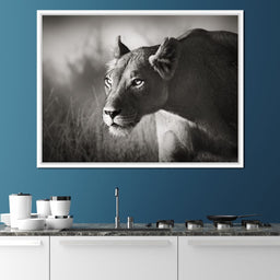 Lioness - NicheCanvas