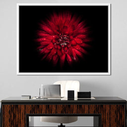 Backyard Flowers 45 - Brian Carson - NicheCanvas